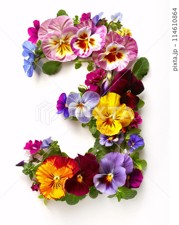 Typeface made out of colored spring flowers the character  3 114610864