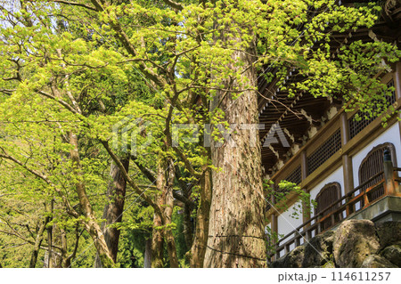 永平寺 114611257