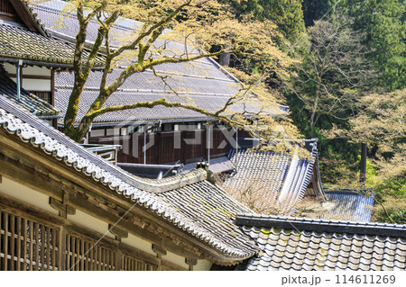 永平寺 114611269