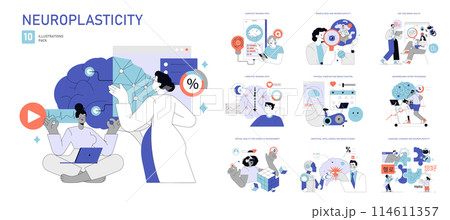 Neuroplasticity set. Brain development and cognitive enhancement practices. Meditation, diet, physical exercise, and learning influence on brain adaptability. Vector illustration. Neuroplasticity set. Brain development and cognitive enhancement practices. Meditation, diet, physical exercise, and learning influence on brain adaptability. Vector illustration. 114611357