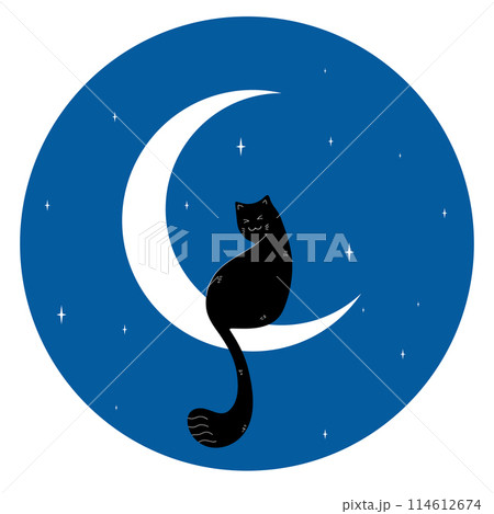 Cute black cat sitting on a crescent on blue night sky background. Vector illustration 114612674