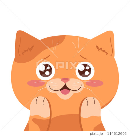Cute ginger cat is surprised and happy. Cartoon cat character isolated on white background. Vector illustration Cute ginger cat is surprised and happy. Cartoon cat character isolated on white background. Vector illustration 114612693