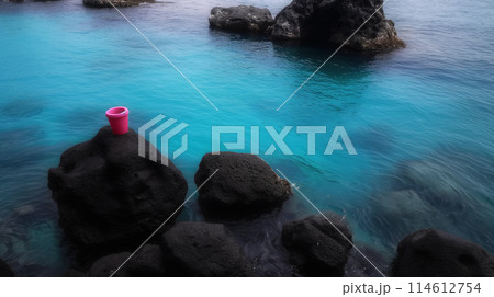 Solitude by the Sea - A Moment of Peace Captured. Pink Trash Can on a Rocky Beach Solitude by the Sea - A Moment of Peace Captured. Pink Trash Can on a Rocky Beach 114612754