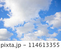 青空と白い雲 114613355