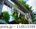 神田明神の鳥居 114613388