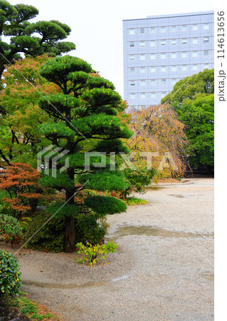 Autumn at a beautiful Japanese garden in the heart of the city. 114613656