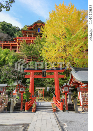 Autumn scenery at Yutoku Inari Shrine is a Shinto shrine in Kashima city at the south part of Saga Prefecture. 114613688