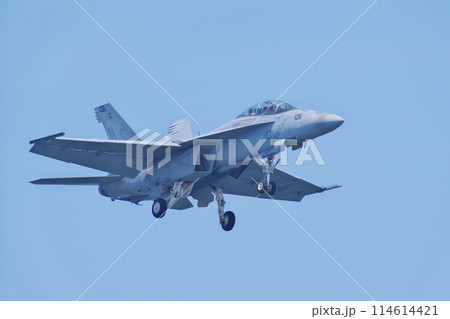 岩国基地に着陸を行うF/A-18F　スーパーホーネット（VFA-102　ダイヤモンドバックス） 114614421