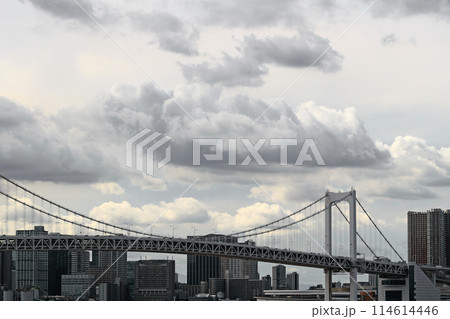 雲の多い空模様と東京湾レインボーブリッジ 114614446