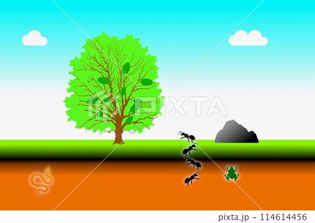 蟄虫啓戸　すごもりむしとをひらく 114614456