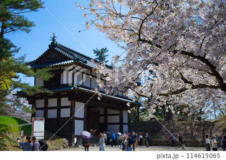 満開の桜と二の丸南門(南内門)弘前城 満開の桜と二の丸南門(南内門)弘前城 114615065