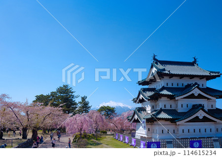 弘前城と満開の桜　岩木山 114615234