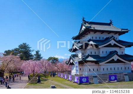 弘前城と満開の桜 岩木山 弘前城と満開の桜 岩木山 114615238