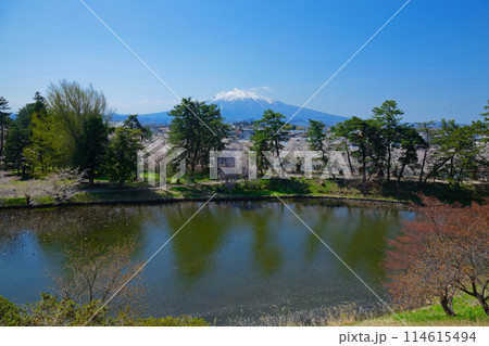 弘前城 蓮池濠に映える景観と岩木山　弘前さくらまつり 114615494