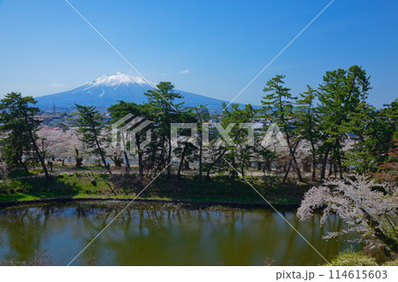 弘前城 蓮池濠に映える景観と岩木山　弘前さくらまつり 114615603