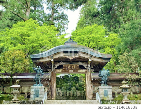 新緑の最乗寺結界門 114616338