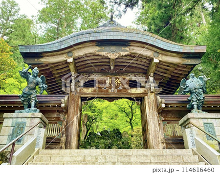 新緑の最乗寺結界門 114616460