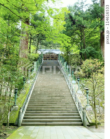 最乗寺御真殿への石段 114616533