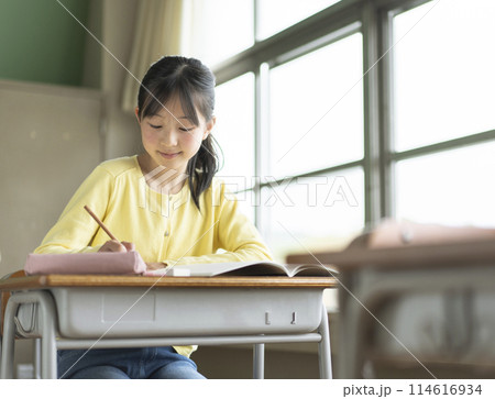 学校で勉強している女子小学生 学校で勉強している女子小学生 114616934