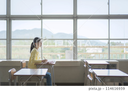 学校で勉強している女子小学生 114616939