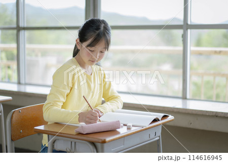 学校で勉強している女子小学生 114616945