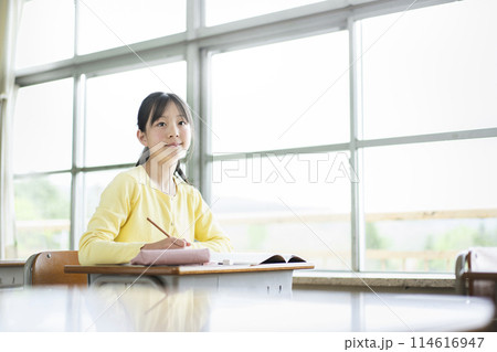 学校で勉強している女子小学生 学校で勉強している女子小学生 114616947