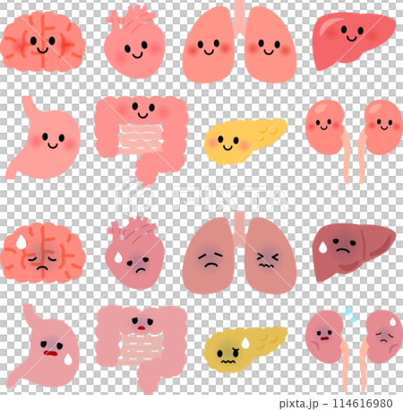 Healthy and unhealthy organ characters 114616980
