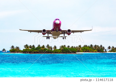 passenger plane flies over the palm trees of a tropical resort. air transport industry 114617118