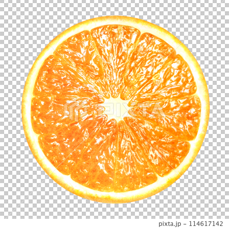 Hand-drawn illustration of sliced oranges Fresh fruit material 114617142