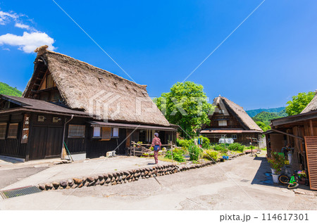 日本の原風景　春の白川郷 114617301