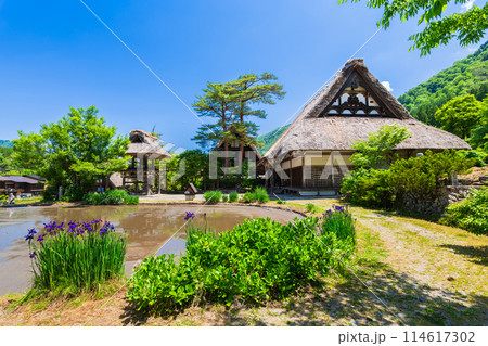 日本の原風景　春の白川郷 114617302