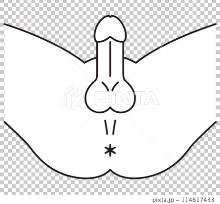 男性の股間を下から見た図　男性生殖器　構造 114617433