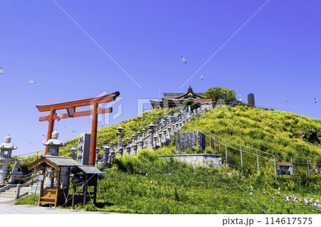 蕪嶋神社とウミネコ1 蕪嶋神社とウミネコ1 114617575
