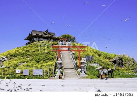 蕪嶋神社とウミネコ（正面）3 114617582