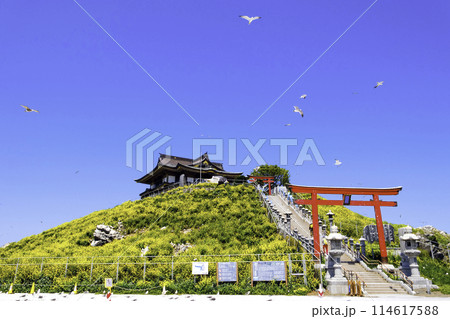 蕪嶋神社とウミネコ（左方） 114617588