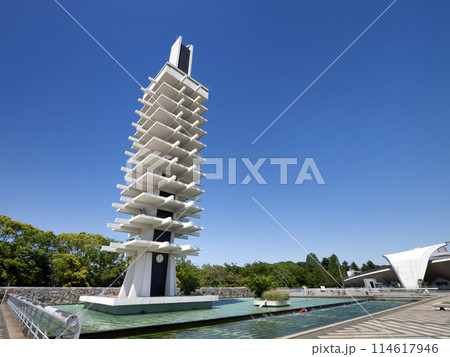 駒沢オリンピック公園 中央広場 114617946