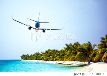 passenger plane flies over the palm trees of a tropical resort. air transport industry passenger plane flies over the palm trees of a tropical resort. air transport industry 114618034