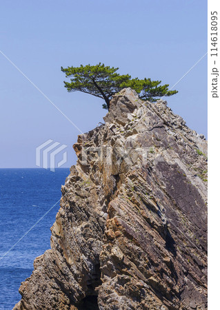 春の浦富海岸の風景 鳥取県 浦富海岸 114618095