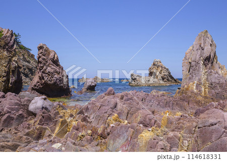 春の浦富海岸の風景 鳥取県 浦富海岸 114618331