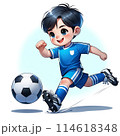 サッカーをする少年 114618348