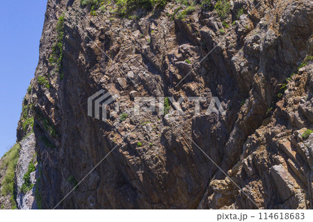 春の浦富海岸の風景 鳥取県 浦富海岸 春の浦富海岸の風景 鳥取県 浦富海岸 114618683