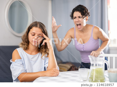 Young female LGBT couple quarreling at home 114618957