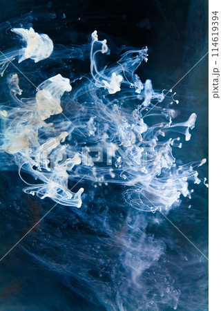 white Ink dropped into the water and photographed while in motion. Paint swirling in water. 114619394