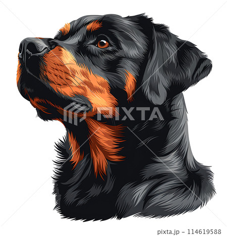 Pet Lovers and Animal Enthusiasts Looking for Cute and Fluffy Pet Lovers and Animal Enthusiasts Looking for Cute and Fluffy 114619588