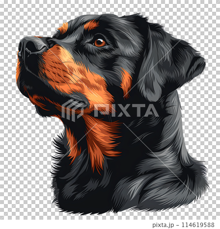 Pet Lovers and Animal Enthusiasts Looking for Cute and Fluffy Pet Lovers and Animal Enthusiasts Looking for Cute and Fluffy 114619588