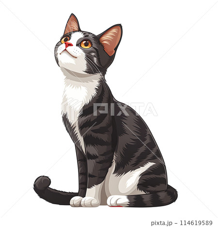 Pet Lovers and Animal Enthusiasts Looking for Cute and Fluffy Pet Lovers and Animal Enthusiasts Looking for Cute and Fluffy 114619589