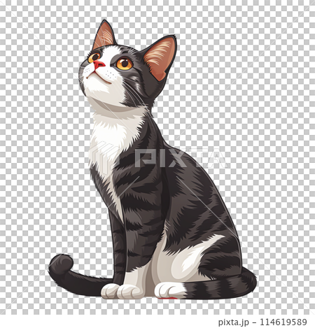 Pet Lovers and Animal Enthusiasts Looking for Cute and Fluffy Pet Lovers and Animal Enthusiasts Looking for Cute and Fluffy 114619589