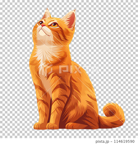 Pet Lovers and Animal Enthusiasts Looking for Cute and Fluffy Pet Lovers and Animal Enthusiasts Looking for Cute and Fluffy 114619590