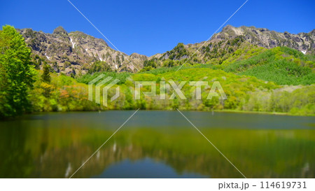 春の鏡池戸隠連峰、山ピント　ジオラマ撮影 114619731