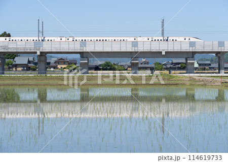 福井県内を通過する北陸新幹線つるぎ 福井県内を通過する北陸新幹線つるぎ 114619733